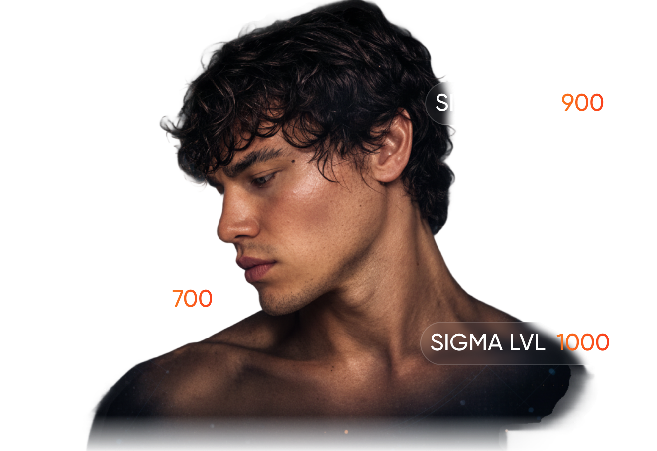 Портрет для SIGMA LVL